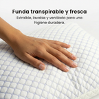 DreamCloudPillow Arya Align™ Pro